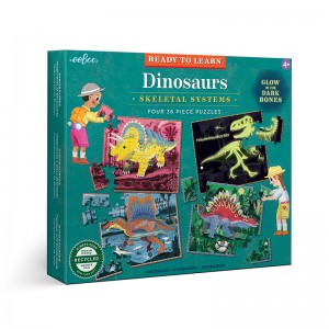 Ready to Learn- Dinosaurs 36Pc Set -glow